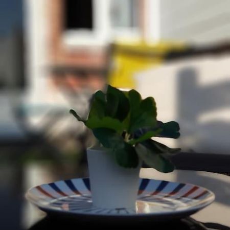 Le Chat Bleu - 26M2- Terrasse Sur Les Toits - Wi-Fi Amiens Esterno foto